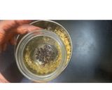 A picture of step 3 of Rajasthani Kalmi Vada.