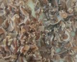 Hình bước làm 2 của món Canh khổ qua độn thịt