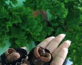 Foto langkah ke 6 dari resep Crunchy brownies.