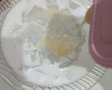 Foto langkah ke 3 dari resep Es Cincau Kuah Santan.