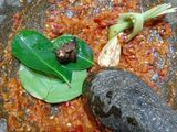 Telur Bumbu Bali Santan #2