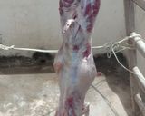 صورة لخطوة 1 من وصفة ماعز مشوى على الفحم