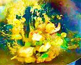 รูปขั้นตอนการทำที่ 3 ของ กุ้งผัดกะปิสะตอ สูตรอาเตี่ยซีฟู้ด สุราษฎร์ธานี