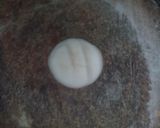 A picture of step 22 of Maharashtrian puran poli.