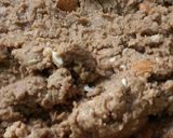A picture of step 3 of Atta Gond Pinni.