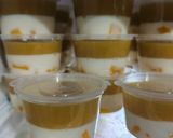 Foto langkah ke 6 dari resep Pudding Susu Mangga.