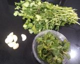 A picture of step 1 of Frozen green chutney.