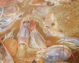 Foto del paso 1 de la receta: Crema de coliflor, con langostinos y azafrán
