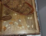 A picture of step 1 of Flax seed pinii.
