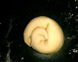 A picture of step 5 of Crispy Scallion Pancakes.