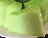 Foto langkah ke 7 dari resep Puding Lumut.