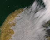 Foto del paso 4 de la receta: Pastafrola riki riki
