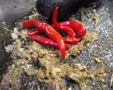 Foto langkah ke 6 dari resep Sambal Lalapan Sehat Special (Step By Step).