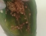 Foto del paso 2 de la receta: Chiles rellenos 🍽