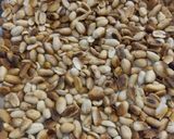 A picture of step 1 of Home made peanut butter #fiveingredients.