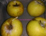 Foto del paso 3 de la receta: Manzanas asadas