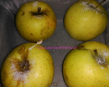 Foto del paso 3 de la receta: Manzanas asadas