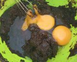 Feketeerdő fagyi torta recept fázis 2 fotója