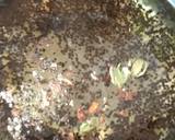 Whole Spice Ginger Tea recipe step 3 photo