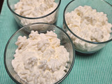 Dessert light allo yogurt, ricotta e more