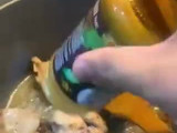 رز برياني