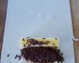 A picture of step 1 of Pisang Bolen (Banana with Chocolate Cheese Pastry).