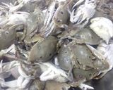 Foto langkah ke 1 dari resep Kepiting kuah saos...