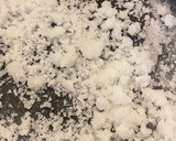 Foto del paso 3 de la receta: Leche asada
