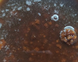 Foto del paso 2 de la receta: Brownie de Boniato Vegano y Sin Tacc