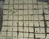 Foto del paso 6 de la receta: Snacks de verdeo