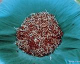 A picture of step 1 of Healthy and tasty sprouted ragi salad.