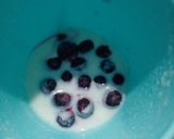 Foto del paso 2 de la receta: Arándanos con Yogurt