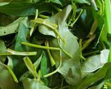 Foto langkah ke 1 dari resep Tumis kangkung terasi pedas.