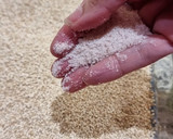 Foto del paso 2 de la receta: Quinoa al horno