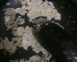 Foto langkah ke 2 dari resep Burgo Brokoli & Ori (Khas Palembang).