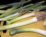 Foto del paso 2 de la receta: Pisto (fritada de verduras varias)