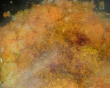 Foto del paso 9 de la receta: Champiñones rellenos en salsa de zanahoria con Cus Cus (vegano)