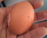 Foto del paso 2 de la receta Alioli (máquina)