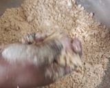 A picture of step 4 of Wheat and hand pound rice puttu.