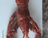 Foto del paso 1 de la receta: Arroz con bogavante