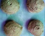 Foto langkah ke 7 dari resep Roti Boy.