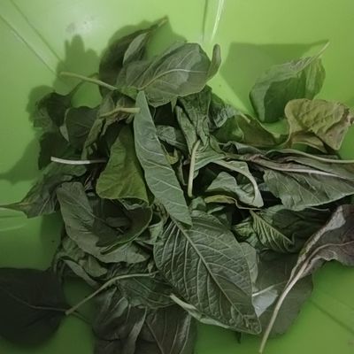Langkah 1