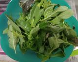 Foto langkah ke 3 dari resep Cumi asin daun kemangi,(buat isian nasi bakar).