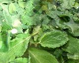 A picture of step 2 of Herb and Potato Frittata.