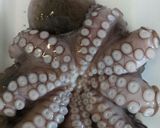 A picture of step 1 of Octopus and tomato salad.