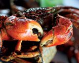 Hình bước làm 4 của món Mắm ba khía