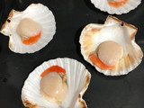 Vieiras a la gallega