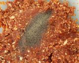 Egyszerű hamburger recept fázis 3 fotója