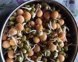 A picture of step 1 of Mix sprouts n mix vegetables salad 🥗.