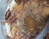 A picture of step 4 of Mutton Pilau#Arabic contest.